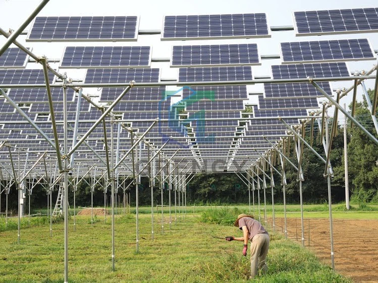 solar farm solar farm