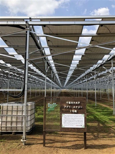 نظام تثبيت Solar Agrivoltaics